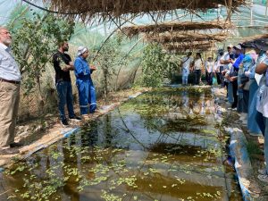 Photo 2025 04 17 21 21 14 300x225